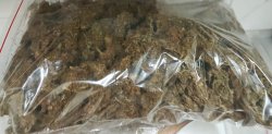 Policjanci zabezpieczyli ponad 300 gram narkotyków