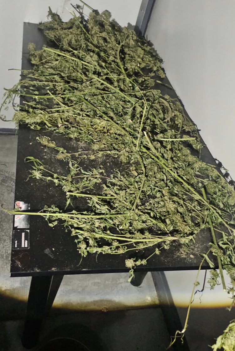 Policja w Pile zatrzymała dwóch mężczyzn przy ponad 2,06 kg narkotyków